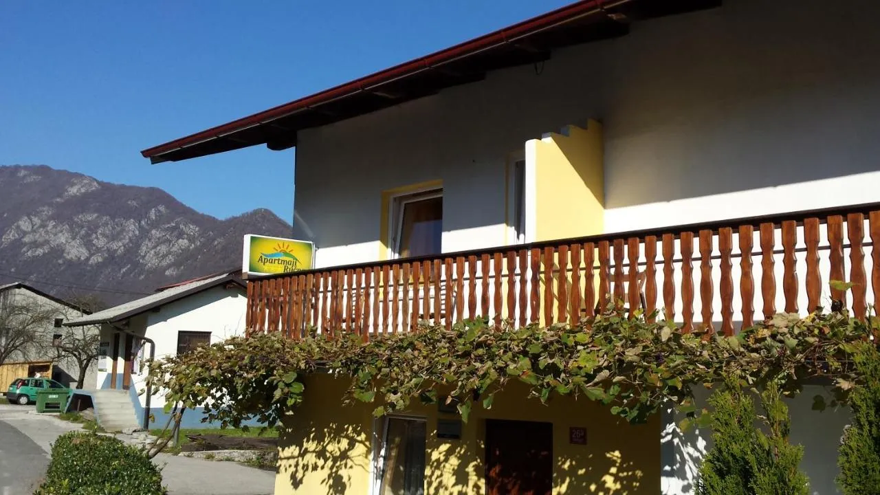 Lesen balkon z vinsko trto na naši hiši, za njim gore